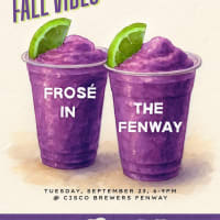 Frosé in the Fenway thumbnail