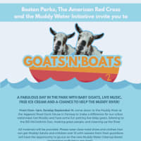 Goats'n'Boats 2 thumbnail