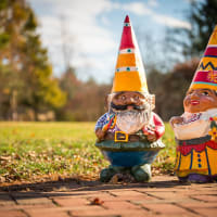 Gnomevember at New England Botanic Garden thumbnail