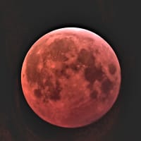 Autumnal Equinox Stargazing with the Aldrich Astronomical Society thumbnail