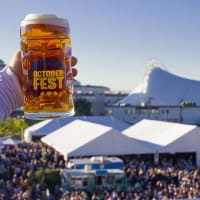 Harpoon Octoberfest thumbnail