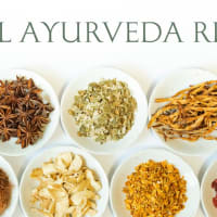 Fall Ayurveda Reset with Kaveri Barros  thumbnail