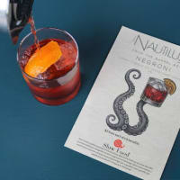  Negroni Class at The Nautilus Pier 4  thumbnail