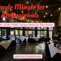 Single Mingle for Young Professionals thumbnail