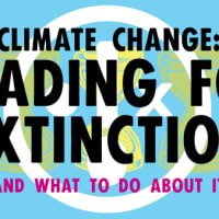 Heading for Extinction (and What to Do About It) Talk thumbnail