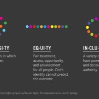 Diversity, Equity, and Inclusion (DEI) thumbnail