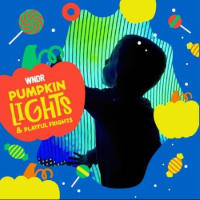 Pumpkin Lights & Playful Frights thumbnail
