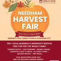 Needham Harvest Fair  thumbnail