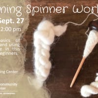Beginning Spinner Workshop thumbnail
