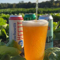 Pop-Up Beer Garden: Hops & Harvest Plates thumbnail