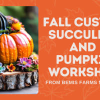 Fall Custom Succulent and Pumpkin Workshop thumbnail
