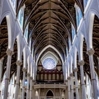 Thirty-sixth Annual Cathedral Organ Benefit - Celebrating 150 Years! thumbnail