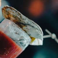 $1 OYSTER BRUNCH thumbnail
