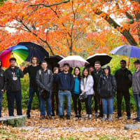 20's & 30's Fall Foliage Walk - Arnold Arboretum thumbnail