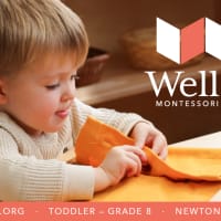 Explore Wellan: Beginners Virtual Info Session (Age 15 mo. - 3 yrs) thumbnail