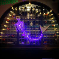 It’s Spooky, It’s Groovy, It’s Halloween at Nautilus Pier 4!  thumbnail