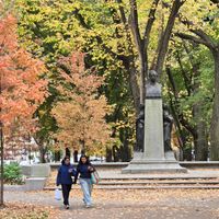 Fall Walking Tour on Commonwealth Avenue thumbnail