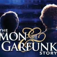 The Simon and Garfunkle Story thumbnail