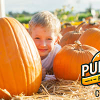 Pumpkin Festival at Charmingfare Farm thumbnail