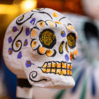 Day of the Dead Workshop: Making Papier-Mâché Skeletons thumbnail