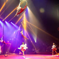 Big Apple Circus thumbnail