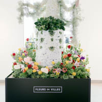 Fleurs de Villes - Downton Abbey thumbnail