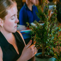 Bonsai Workshop at Medusa Brewing Company thumbnail