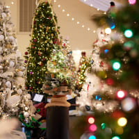 17th Annual Festival of Trees thumbnail