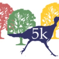 2025 Franklin Park Turkey Trot thumbnail