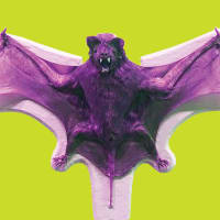 ArtsThursdays: Halloween at the Museum thumbnail