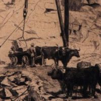 Coffee & Conversations: Gabrielle de Veaux Clements thumbnail