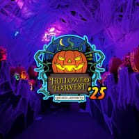 Hollowed Harvest thumbnail