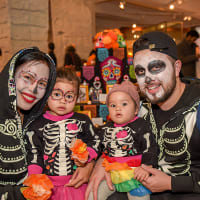 Day of the Dead Celebration thumbnail