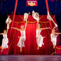 Do Portugal Circus Returns to Boston thumbnail
