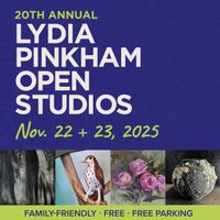 20th Annual Lydia Pinkham Open Studios (Saturday) thumbnail