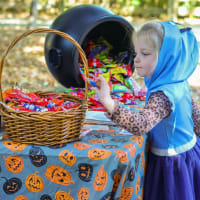 Spooky Zoo – Daytime Trick-or-Treating at the Zoo thumbnail
