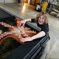 Secrets of the Octopus: A lecture with Sy Montgomery thumbnail