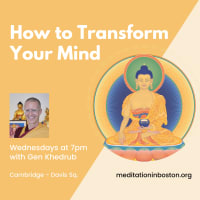 How to Transform Your Mind: A Wednesday evening meditation class thumbnail