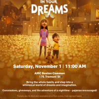 IN YOUR DREAMS Advance Screening thumbnail