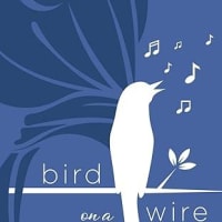 Quincy400: Bird on a Wire - History of the Islamic Center of New England thumbnail