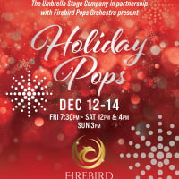 Holiday Pops Concert with the Firebird Pops Orchestra thumbnail