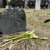 Death and Burial in Colonial Cambridge thumbnail