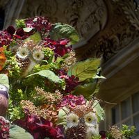 Christmas at Castle Hill on the Crane Estate: Day Trip from Boston thumbnail