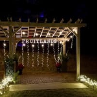 2nd Annual Winter Wonderland and Artisan Market Preview thumbnail