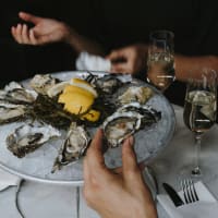 $1 Oyster Mondays in Back Bay thumbnail