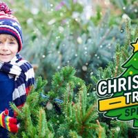 Christmas Tree Spree thumbnail