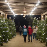 Christmas by Candlelight thumbnail