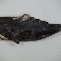 Antique Show and Sale thumbnail