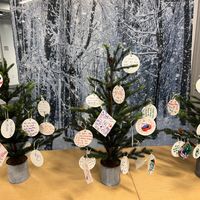 December Vacation Week at Discovery Museum at Discovery Museum thumbnail