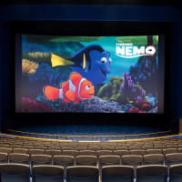 Family Movie Night at the New England Aquarium: Finding Nemo thumbnail